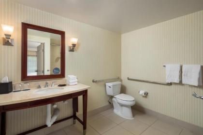 Sheraton Carlsbad Resort & Spa - image 10