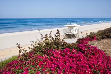 Sheraton Carlsbad Resort & Spa - image 19