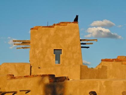 Canyon Of The Ancients Guest Ranch - image 1