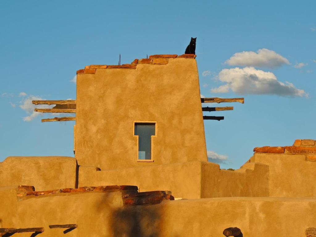 Canyon Of The Ancients Guest Ranch - main image