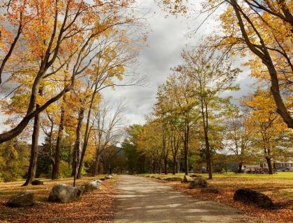 Eastover Estate and Eco Village - image 11