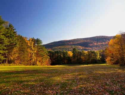 Eastover Estate and Eco Village - image 19