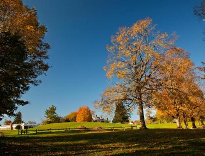 Eastover Estate and Eco Village - image 20