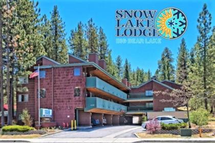 Snow Lake Lodge - image 5