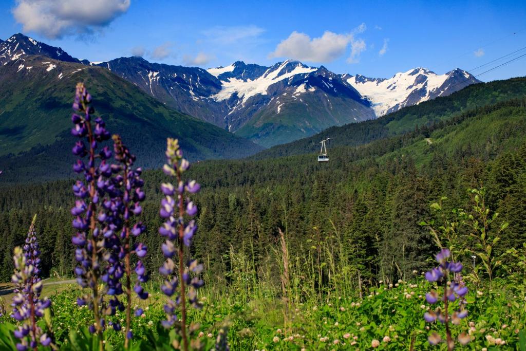 Alyeska Resort - image 3