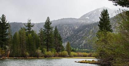 June Lake Motel - image 3