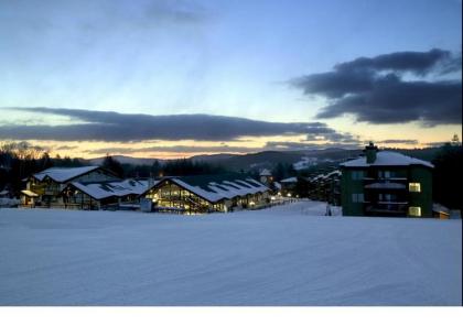 Mountain Lodge at Okemo - image 2