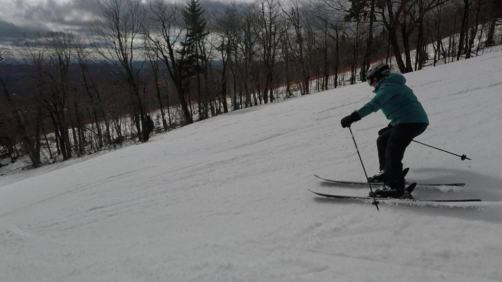 Mountain Lodge at Okemo - image 4