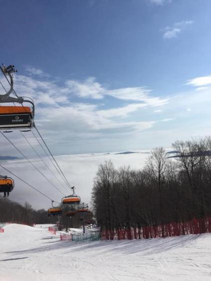 Mountain Lodge at Okemo - image 9