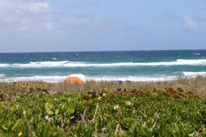 Delray Breakers on the Ocean - image 13