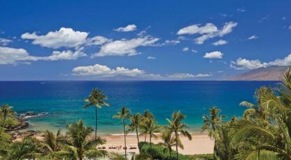 Four Seasons Resort Maui at Wailea - image 6