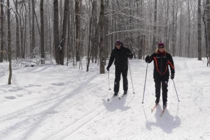 The Black Bear Lodge at Stratton Mountain Resort - image 6