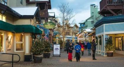 The Black Bear Lodge at Stratton Mountain Resort - image 7