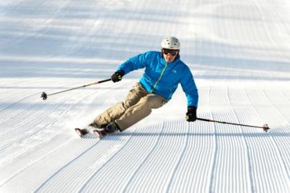 The Black Bear Lodge at Stratton Mountain Resort - image 9