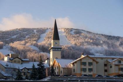 The Black Bear Lodge at Stratton Mountain Resort - image 11