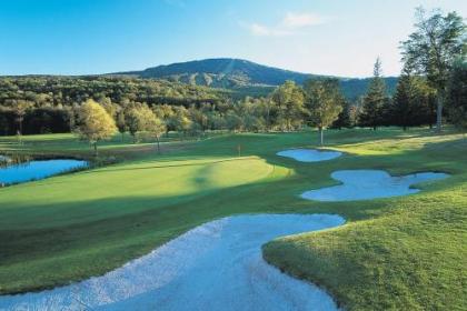 The Black Bear Lodge at Stratton Mountain Resort - image 2