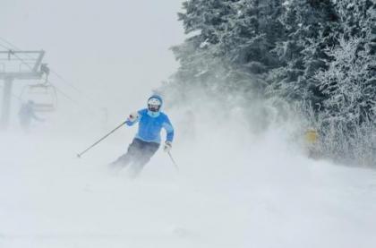 The Black Bear Lodge at Stratton Mountain Resort - image 3