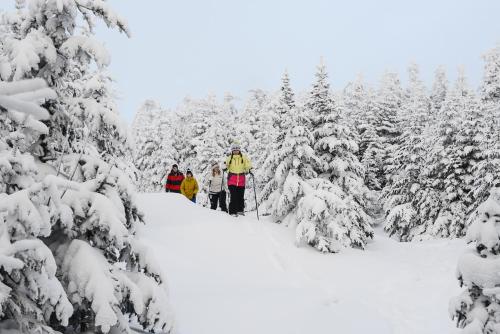 The Black Bear Lodge at Stratton Mountain Resort - image 4