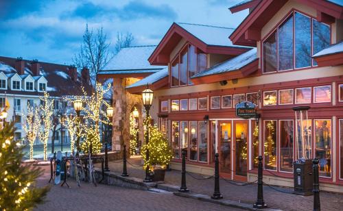 The Black Bear Lodge at Stratton Mountain Resort - image 5