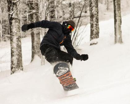 Canaan Valley Resort State Park - image 10