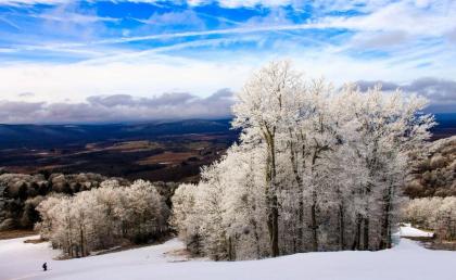 Canaan Valley Resort State Park - image 11