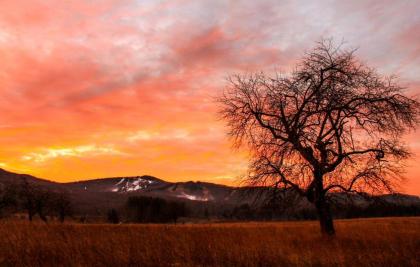 Canaan Valley Resort State Park - image 12