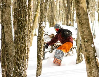 Canaan Valley Resort State Park - image 13