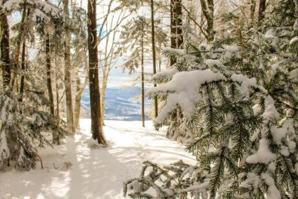 Canaan Valley Resort State Park - image 14