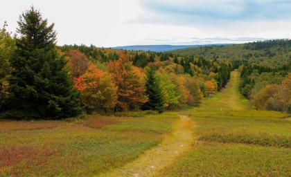 Canaan Valley Resort State Park - image 20