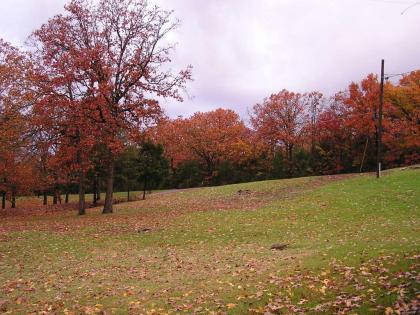 Mill Creek Resort on Table Rock Lake - image 18