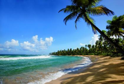 Dorado Beach a Ritz-Carlton Reserve - image 3