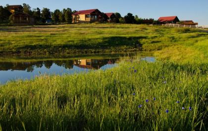 Zion Mountain Ranch - image 17