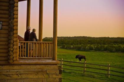 Zion Mountain Ranch - image 18