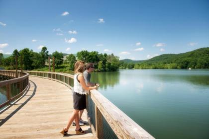 Stonewall Resort - image 9