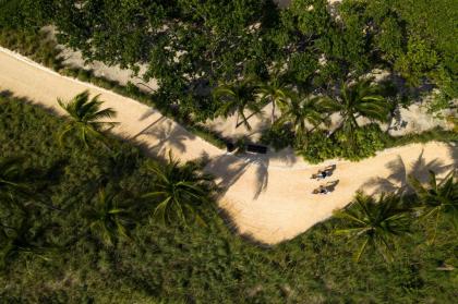 The Ritz-Carlton Bal Harbour Miami - image 20