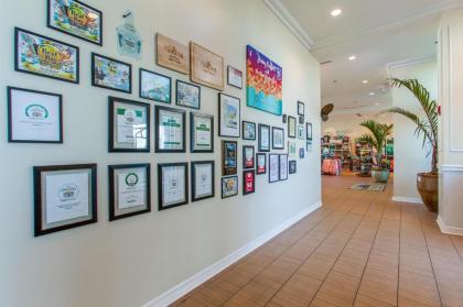 Margaritaville Beach Hotel - image 11