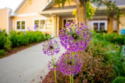 Westwood Shores Waterfront Resort - image 9