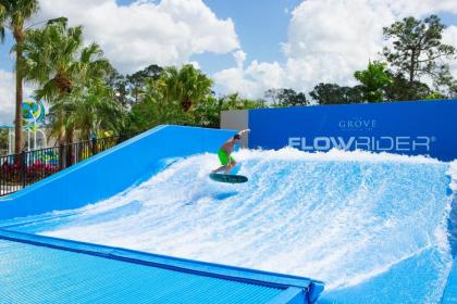 The Grove Resort & Water Park Orlando - image 19