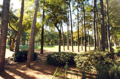 Pawleys Plantation Golf & Country Club - image 18