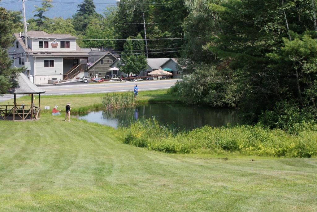 Hill View Motel and Cottages - image 7