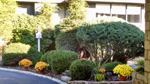 Skyline Lodge and Restaurant - image 7