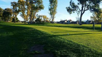 Ridgemark Golf Club and Resort - image 6