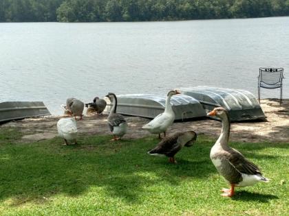 Lake Tiak - O'Khata Resort - image 6