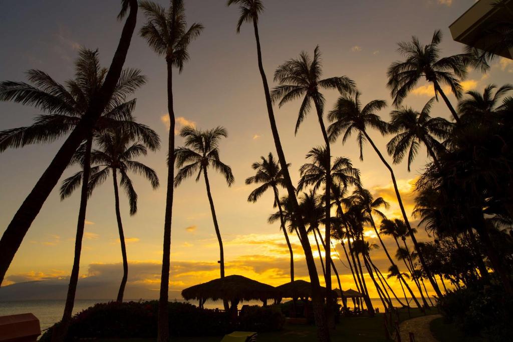 Hyatt Residence Club Maui Kāʻanapali Beach - image 5