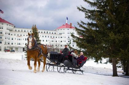 Omni Mount Washington Resort - image 12