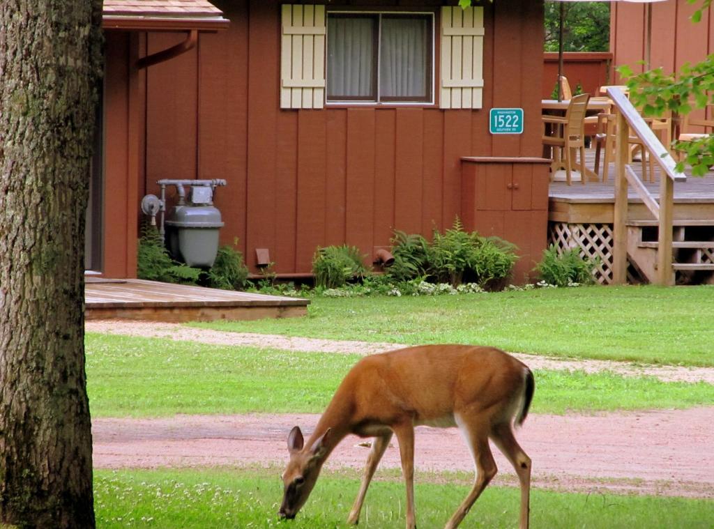 Lake Forest Resort - image 5