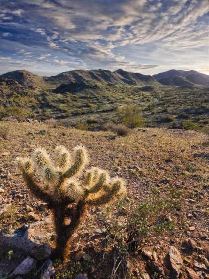 WorldMark Phoenix - South Mountain Preserve - image 3