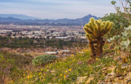 WorldMark Phoenix - South Mountain Preserve - image 5