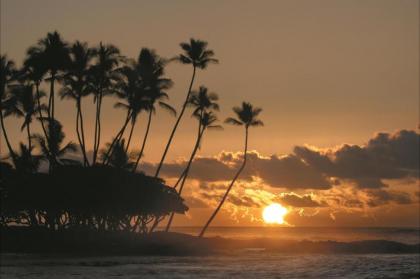 Fairmont Orchid Gold Experience - image 15