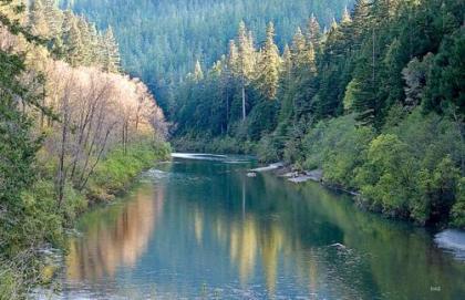 Redwoods River Resort & Campground - image 19